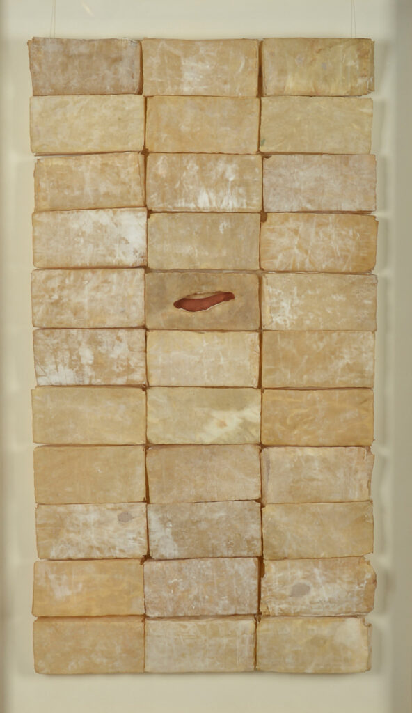 Carlo Spatuzza, Sobre cáscaras y pirecas, 2021 Calcos sobre cuero vacuno 119 x 63 x 8  cm © Fernando Franceschelli
