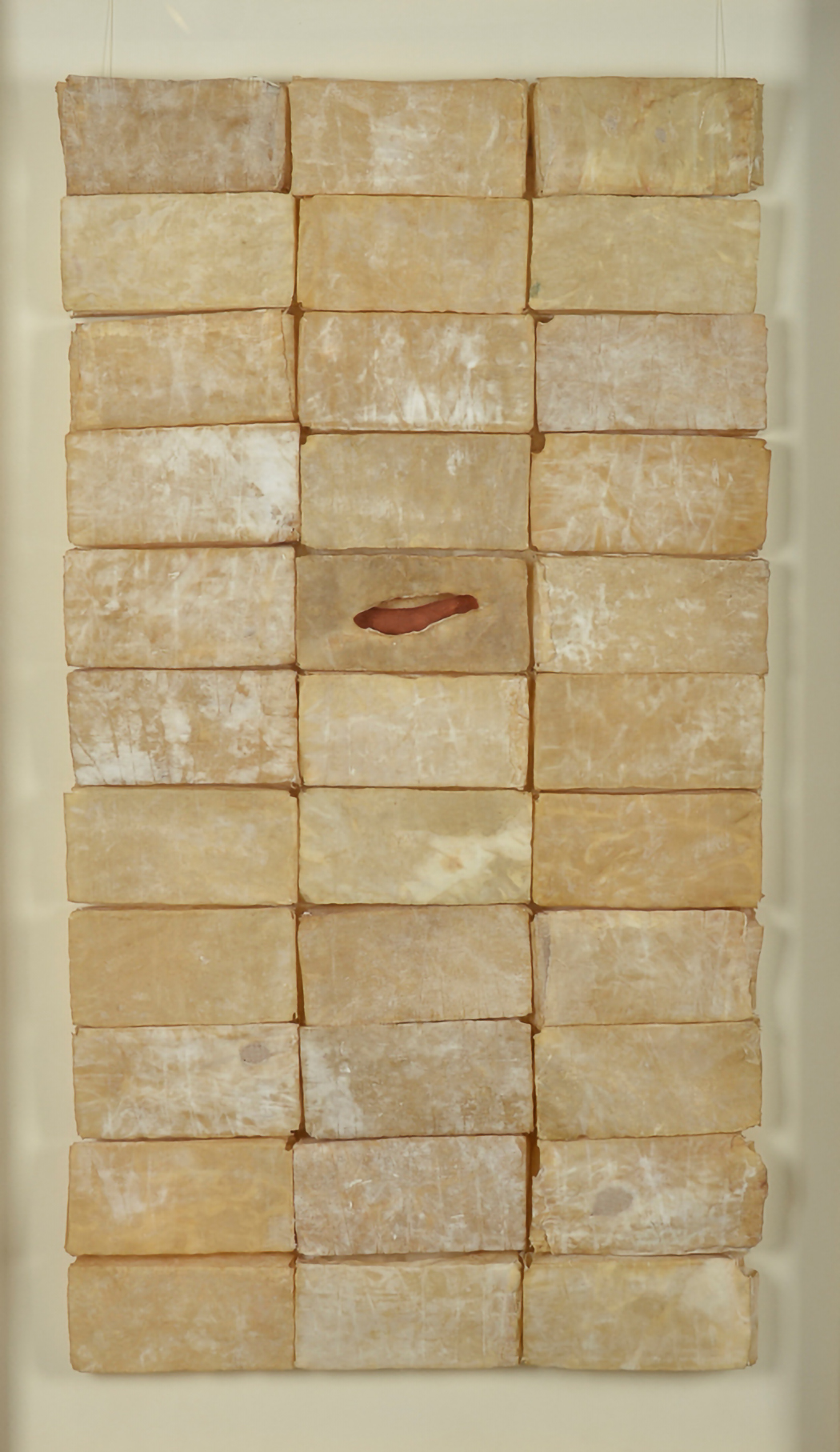 Carlo Spatuzza, Sobre cáscaras y pirecas, 2021 Calcos sobre cuero vacuno 119 x 63 x 8  cm © Fernando Franceschelli